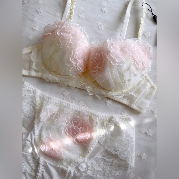 US-32C Japanese 3D Sakura Layers Floral Embroidered Bra & Panty Set Cute Pink - Picture 2 of 15